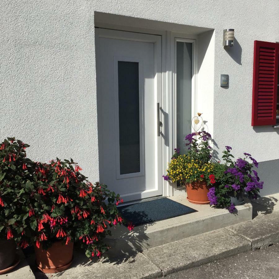 Ferienwohnungen Haus Bergflora Bach  Kültér fotó